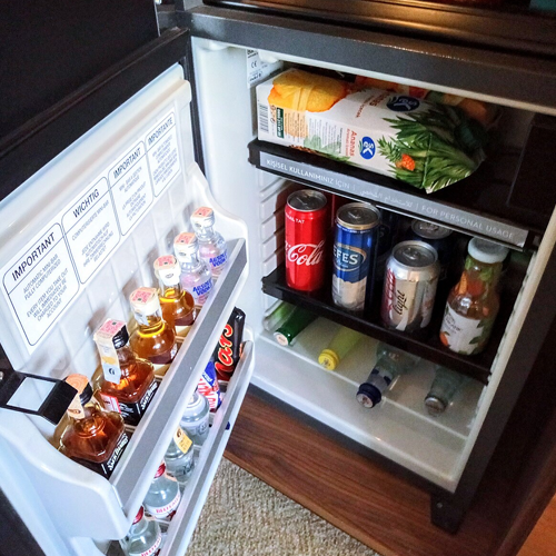 Mini Bar and Mini Fridge